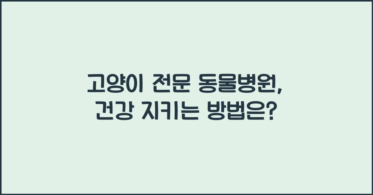 고양이 전문 동물병원