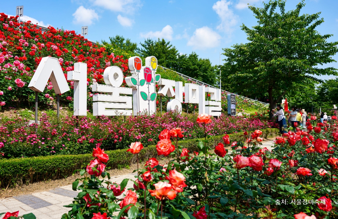 중랑 장미축제 안내