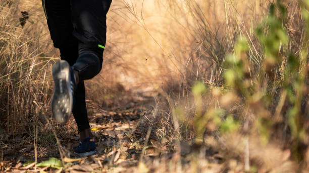 걷기 운동 효과를 높이는 팁