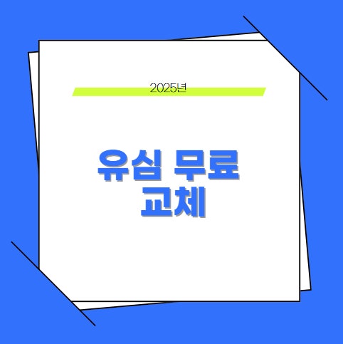 유심무료교체