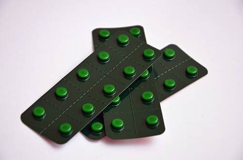 와사비잎추출물 다이어트