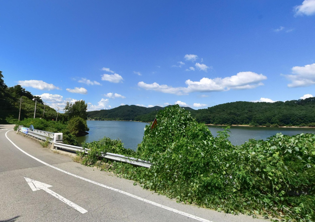 안성 금광호수로 안개 낀 호수의 낭만