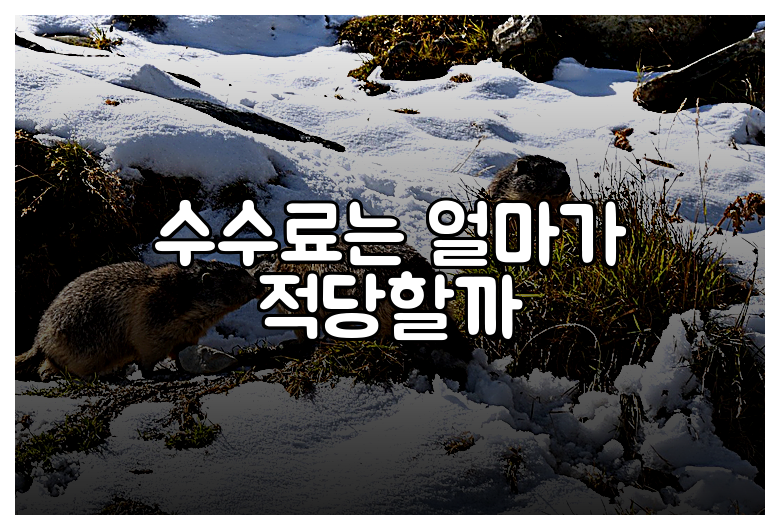 수수료는 얼마가 적당할까