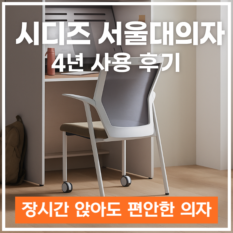 허리 편한 의자 추천, 시디즈 서울대 의자 4년 사용 후기