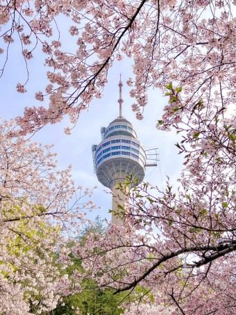 대구의 랜드마크, 이월드 여행 가이드