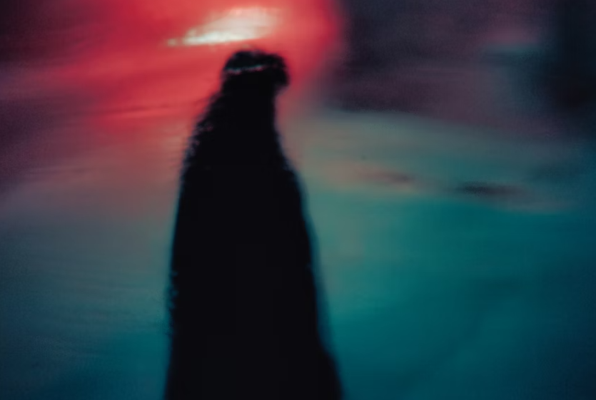 비타민D 결핍 부족하면 증상 어지럼증 가려움, 해결 음식