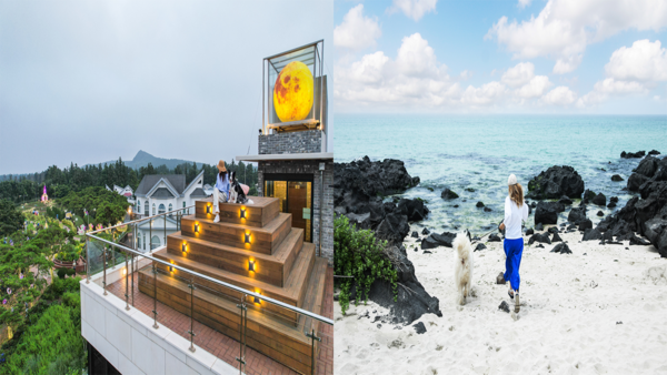 반려견과 함께하는 여행사진