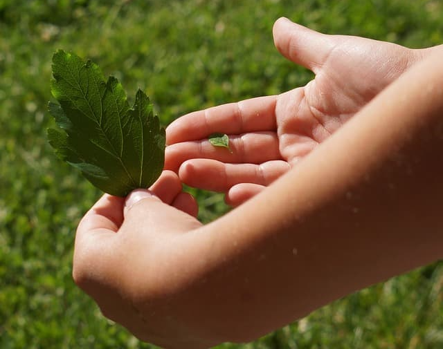 각국의 탄소 저감 정책 비교 (예: 유럽 vs 한국 vs 미국)