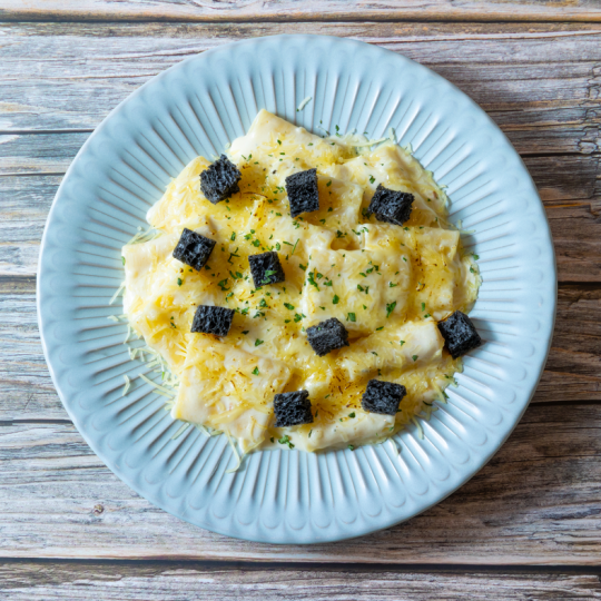 용인 자작나무숲 - 애견동반 입장료 펜션 예약