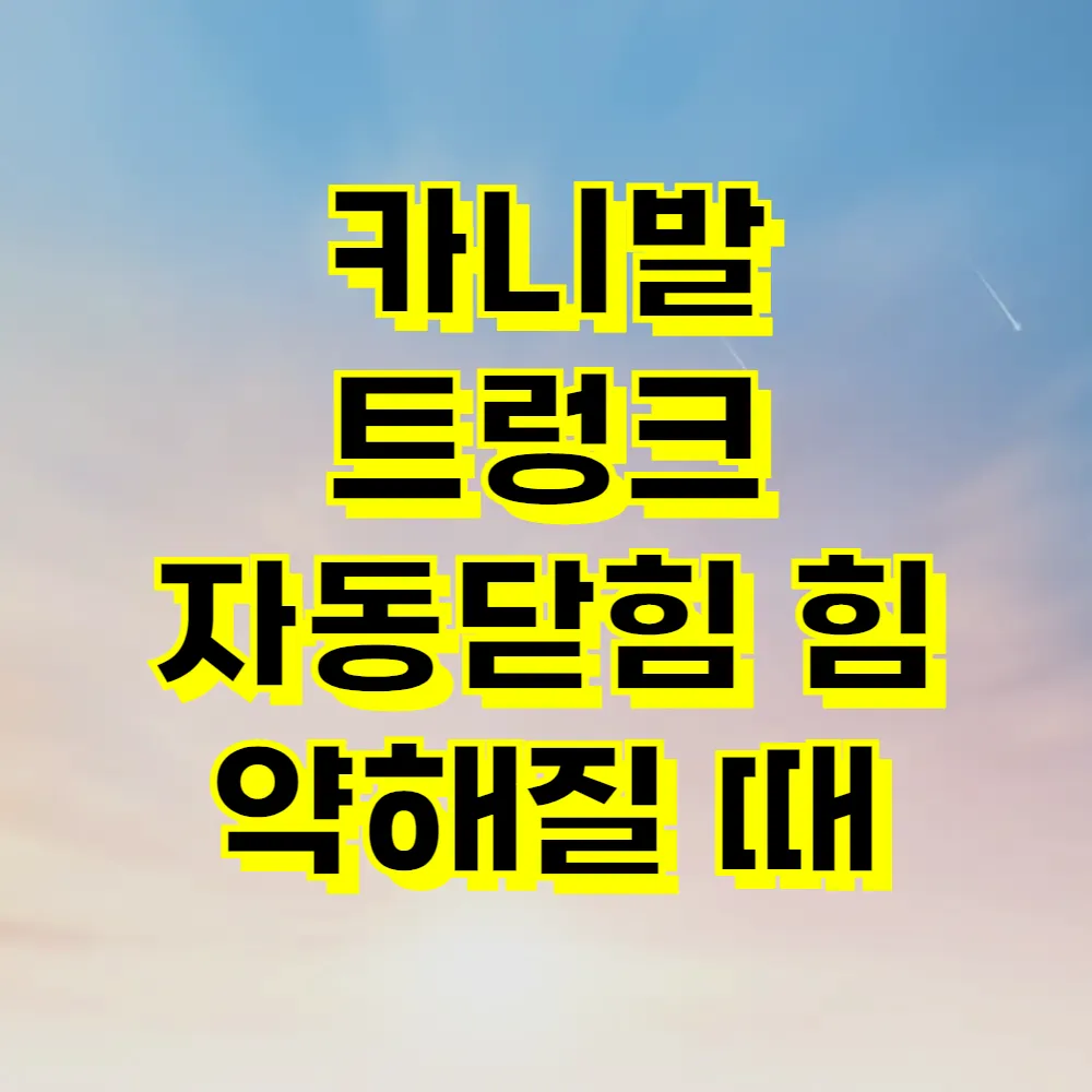 카니발 트렁크 자동닫힘 힘 약해질 때