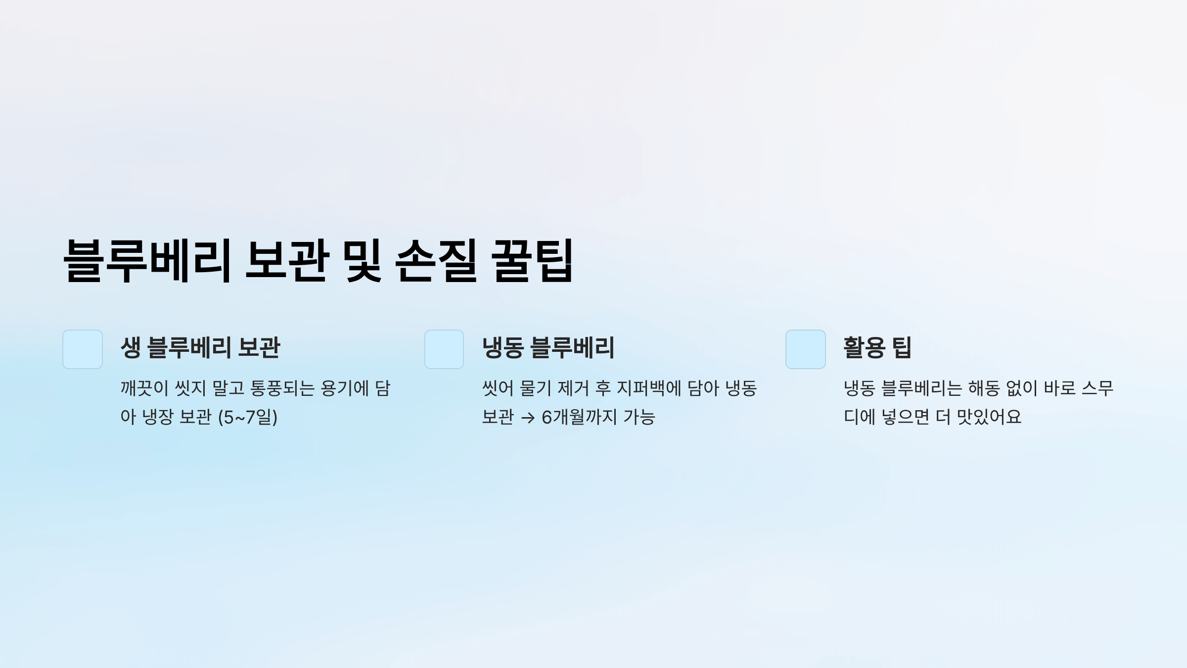 블루베리 사진입니다.