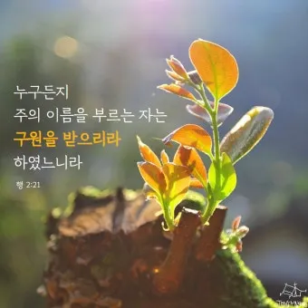 사도행전 2장 제자들의 성령 묵상_8