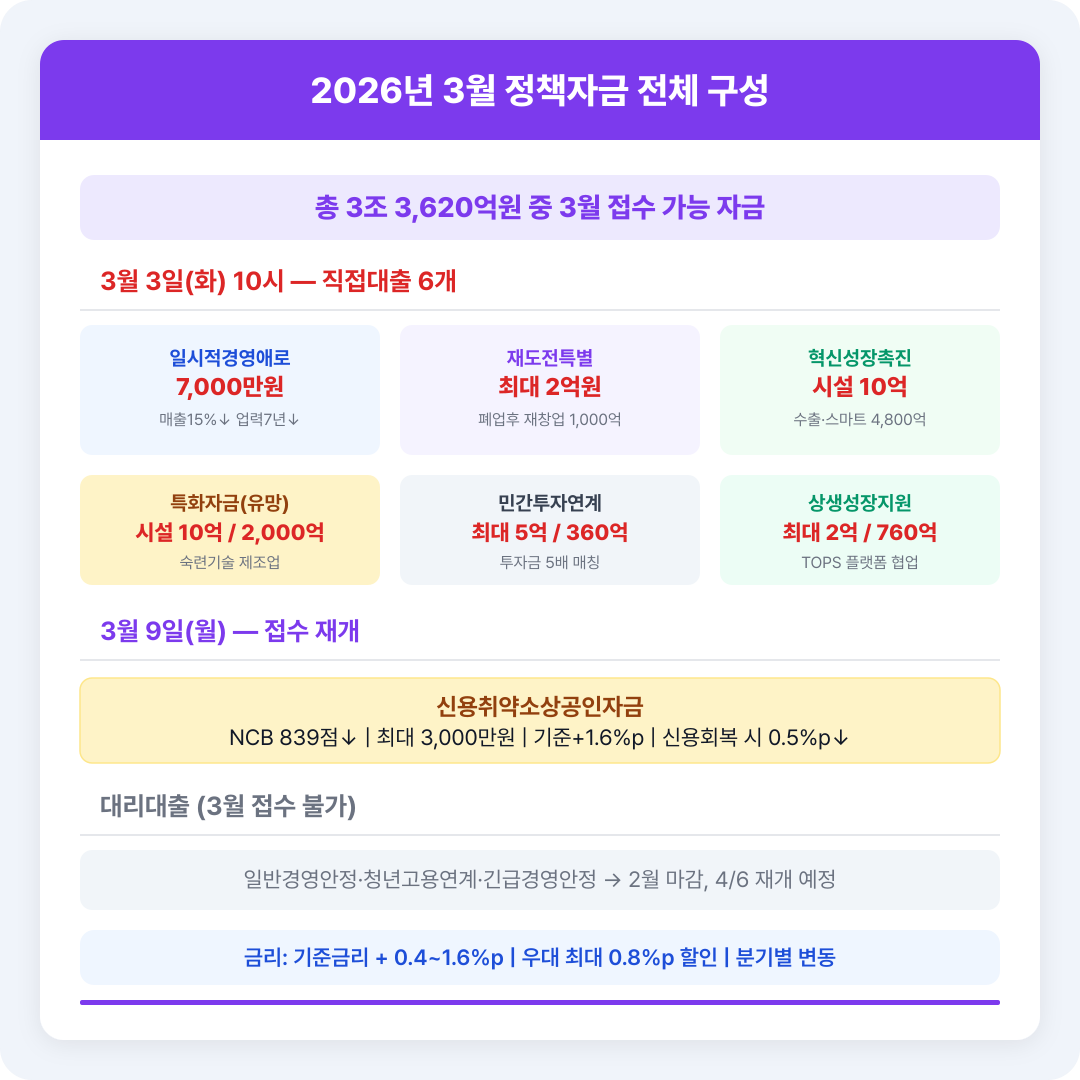 정책 비교 카드 — 3월 정책자금 전체 구성