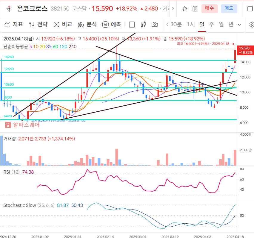 온코크로스 일봉차트