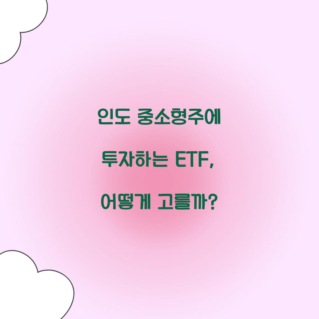 인도 중소형주에 투자하는 ETF