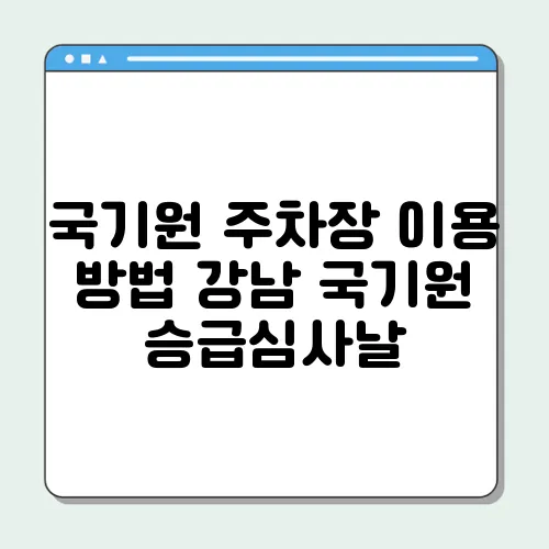 국기원 주차장 이용 방법 강남 국기원 승급심사날