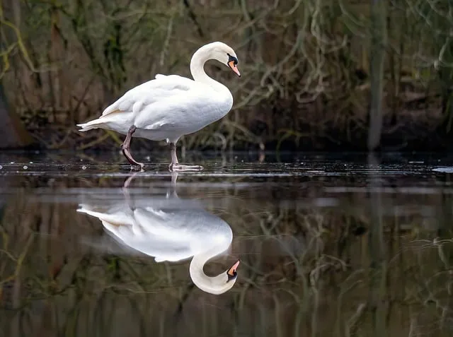 하트 이미지 예쁜 하트 그림 일러스트_3