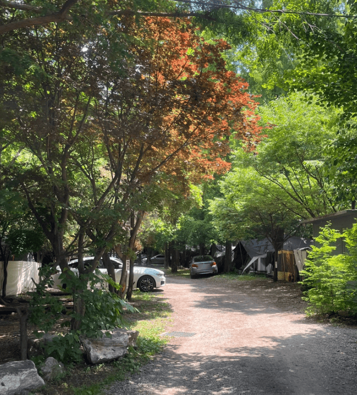 파주 캠핑장