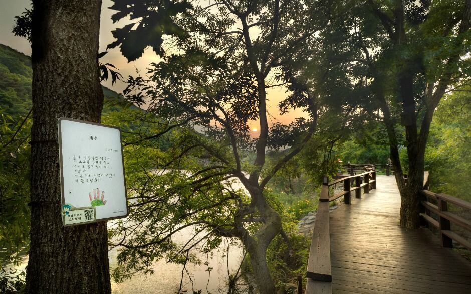 칠곡 가볼만한곳 베스트 10