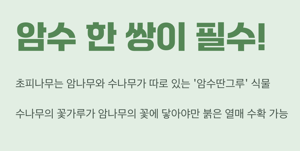 친구가 필요한 외로운 나무