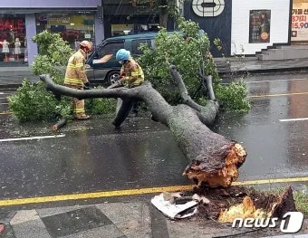 제주 강풍 경보 올레길 구간 선택 산책 속도 조절_12