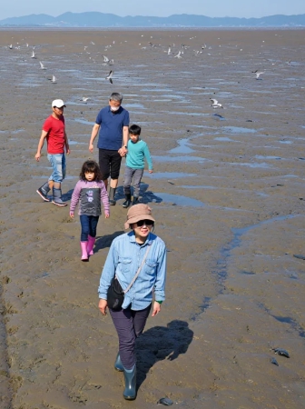 어촌체험마을&amp;#44;바지락캐기&amp;#44;갯벌체험&amp;#44;동죽조개