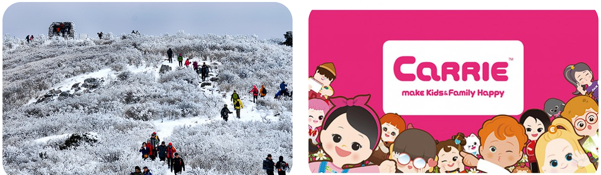 태백산 눈꽃축제 열차 일정 예약