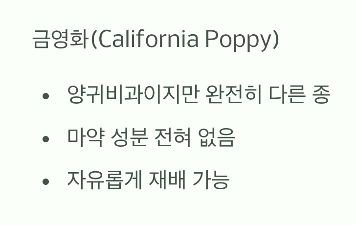 이름부터 다른&amp;#44; &amp;#39;금영화&amp;#39;와 &amp;#39;양귀비&amp;#39;