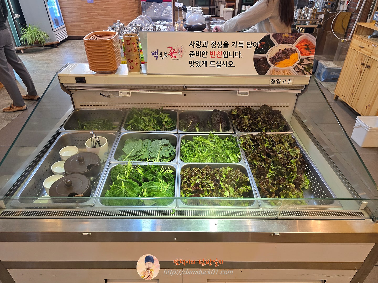 백운애꽃 셀프 바