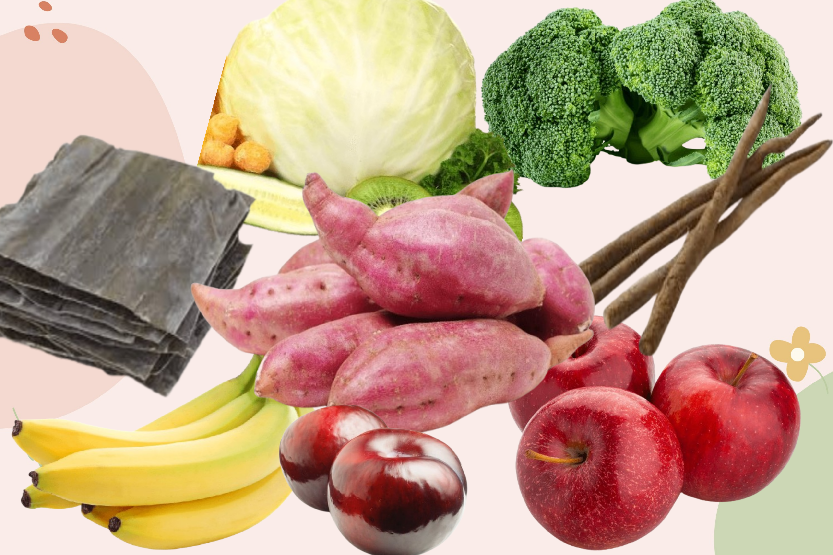 변비에 좋은 음식
식이섬유