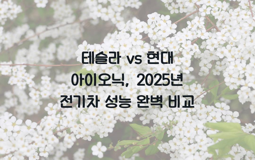 테슬라 vs 현대 아이오닉, 2025년 전기차 성능 비교