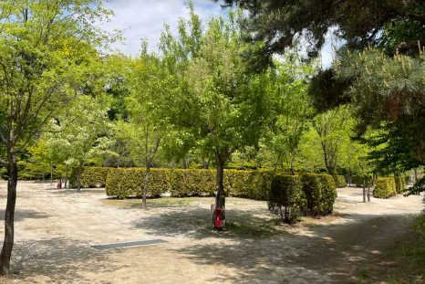 파이브이모션 캠핑장 B12