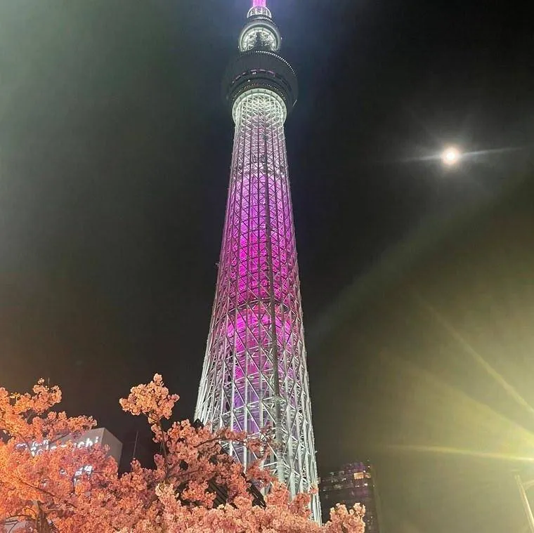 2025 도쿄 스카이트리에서 만나는 픽사 명작 토이 스토리 특별 전시 이벤트 안내_5