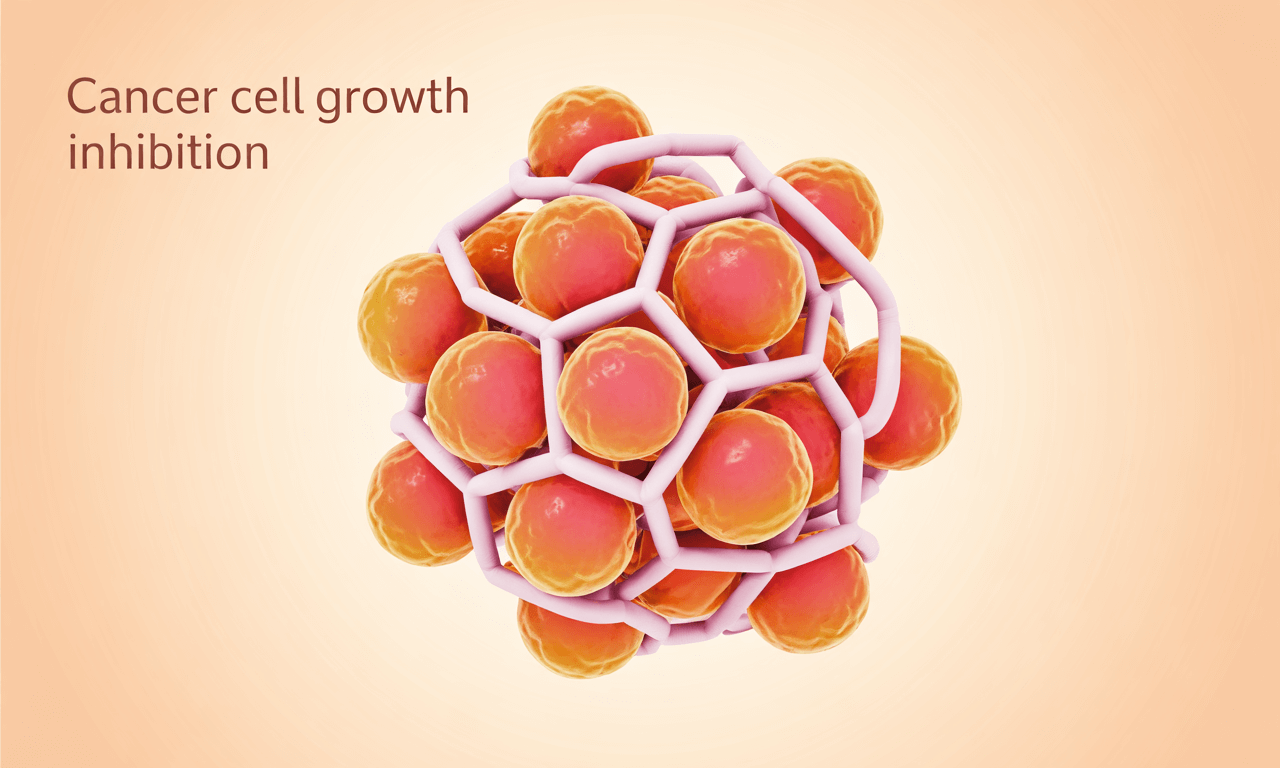 아로니아 사진입니다.