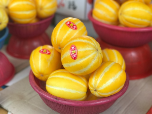 바구니에 담긴 참외 