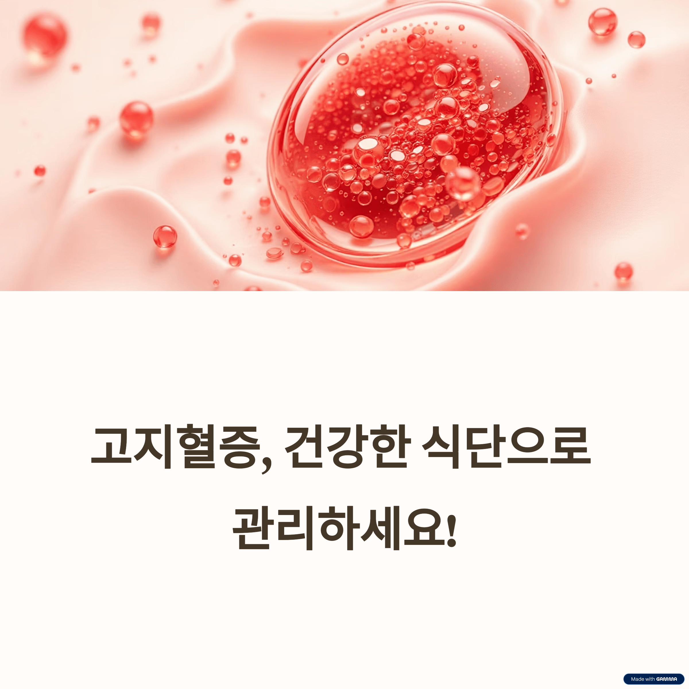 고지혈증 극복 식단