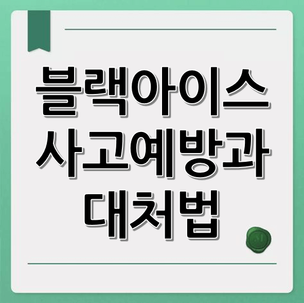 블랙아이스 사고 예방과 대처법