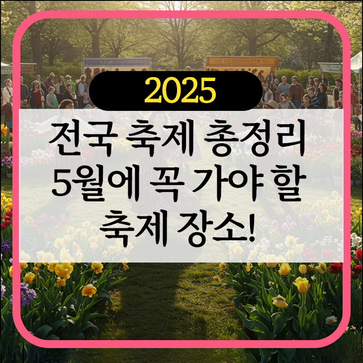 2025 전국 축제 총정리