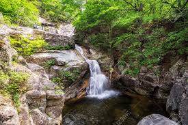 오대산 국립공원 3