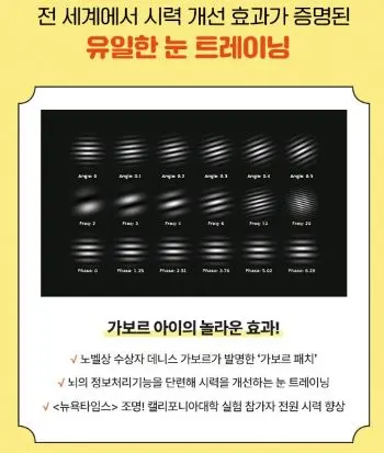 가보르가 발명한 가보르 패치 형태