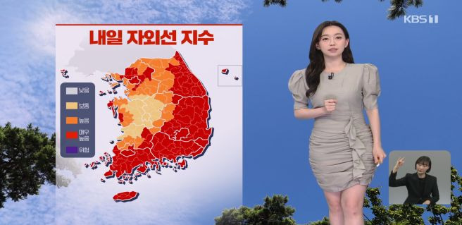 강아랑 기상캐스터 프로필 총정리｜나이 35세·KBS 퇴사 이유·수의사 남편·결혼·임신 발표·인스타그램