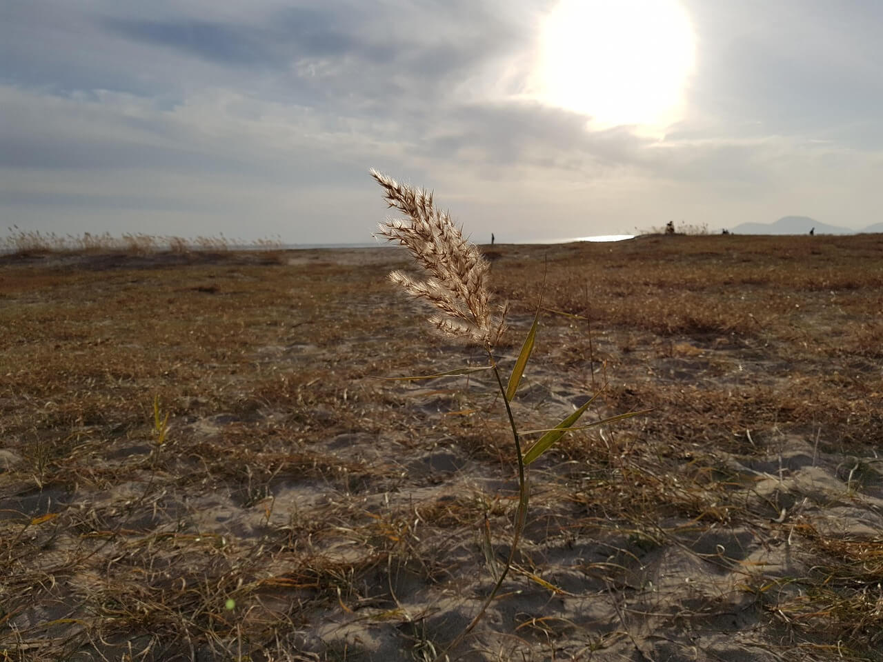 의성 산불 피해 가계&middot;중소기업을 위한 금융지원