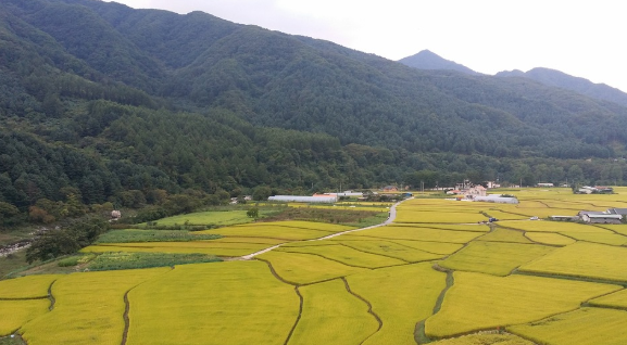 가평 역사와 명소, 음식