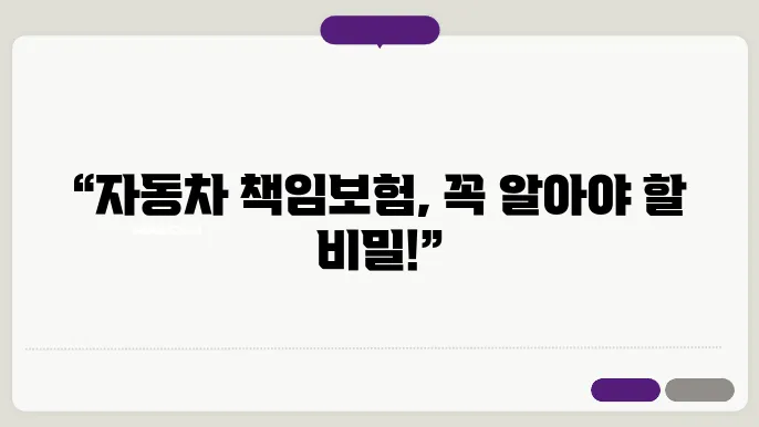 자동차 책임보험 총정리