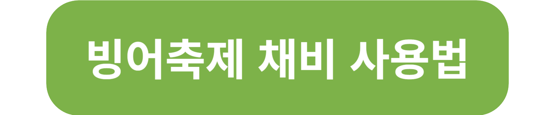 빙어 축제