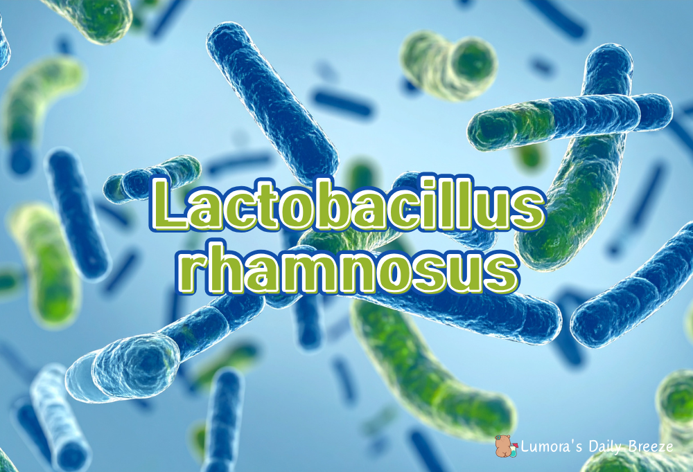 피부에 도움되는 영양소 추천 : 락토바실루스 람노수스 유산균 균주 - 장 건강을 넘어 '피부 미생물 생태계'