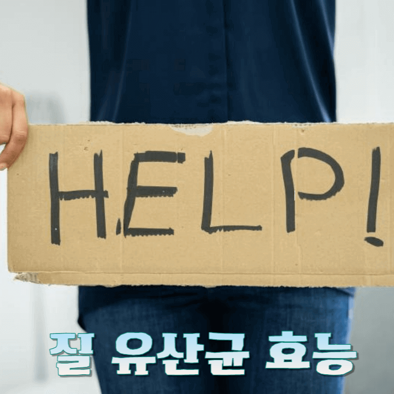 질 유산균 효능