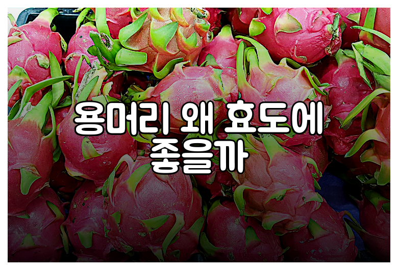 용머리 왜 효도에 좋을까