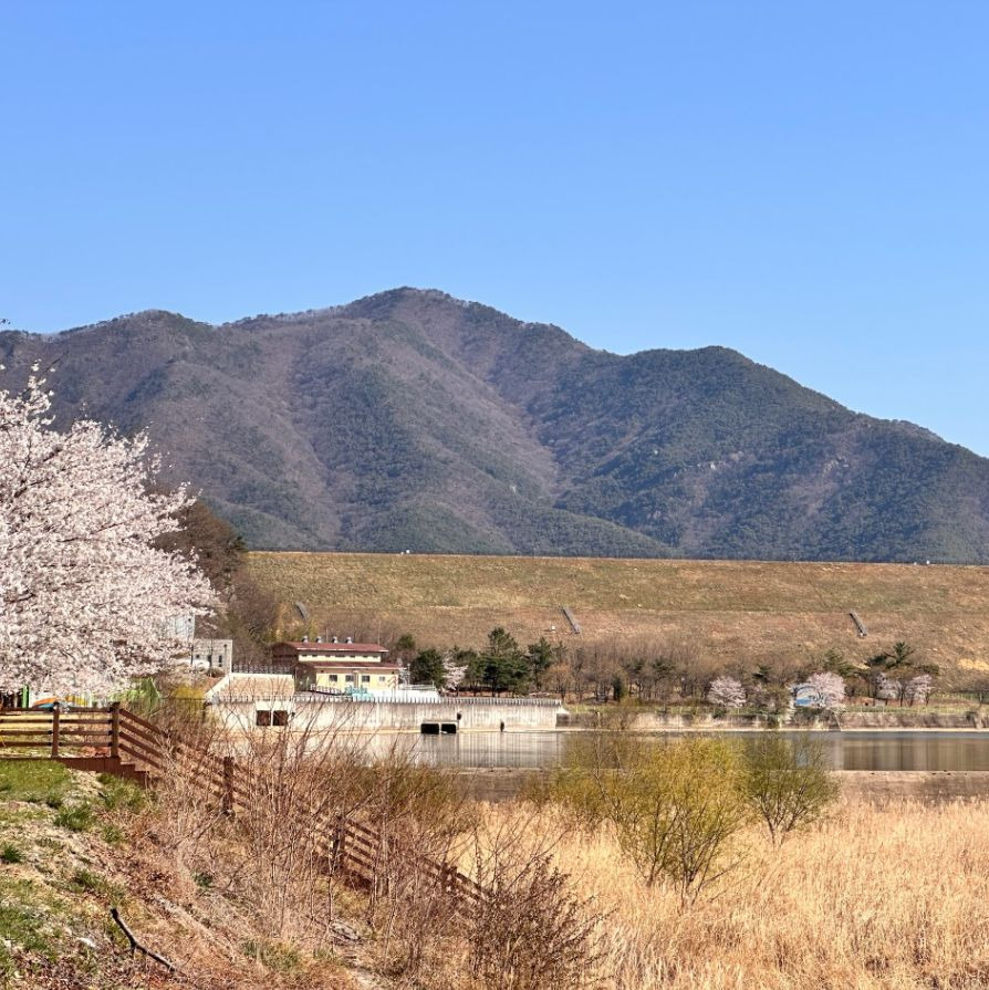 영천댐하류공원