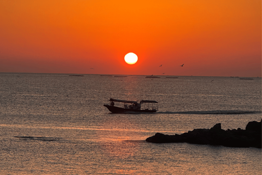 2026년 새해맞이 여행지 추천